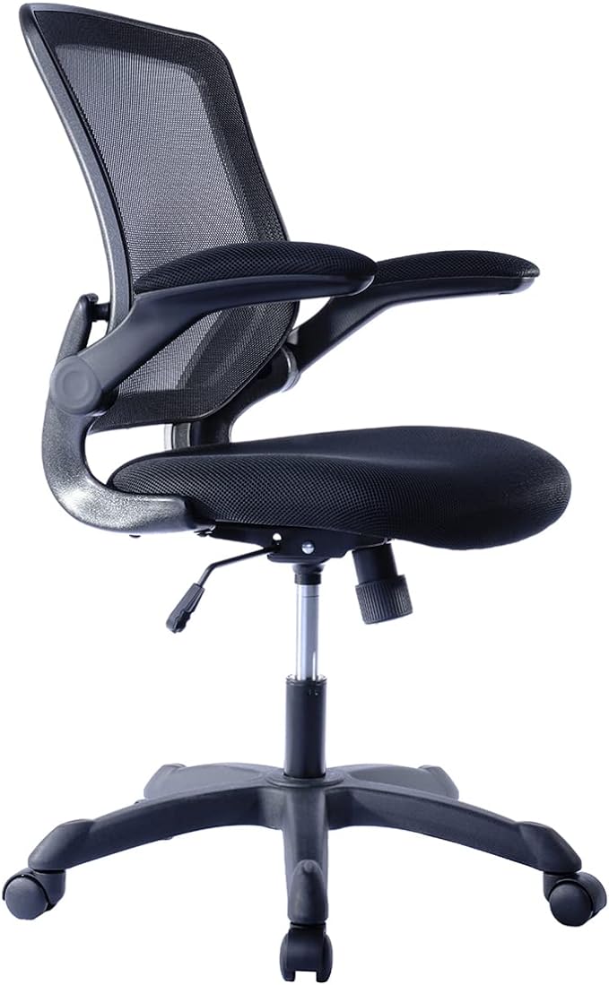 Mesh Office Chair, Ergonomic Desk Chair with Adjustable Lumbar Support